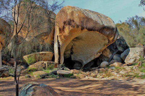 Wave Rock & Rottnest Island - Air & Ground Tour - Rental Cars 4