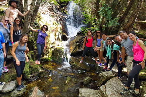 7-Day Super Value Tour Of Tasmania: Explore Tasmania's West And East Coasts - Rental Cars 2