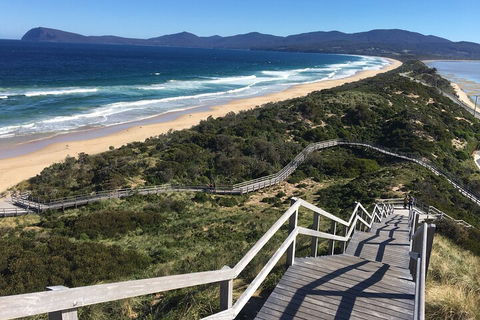 4-Day Fabulous Tasmania Tour: Wineglass Bay, Port Arthur, Devils & Bruny Island - Rental Cars 5