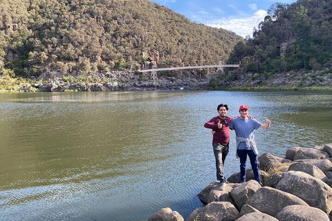 5-Day Best Of Tasmania Tour From Hobart - Rental Cars 2