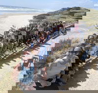 3 Day Tasmanian Wild West Coast Tour from Hobart to Launceston - Rental Cars