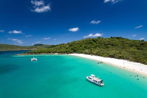 Whitehaven Beach And Hill Inlet | Awesome Beach BBQ | Family Friendly - Rental Cars 3