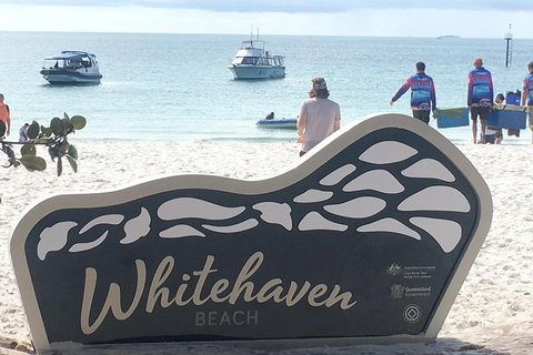 Whitehaven Beach And Hill Inlet | Awesome Beach BBQ | Family Friendly - Rental Cars 5