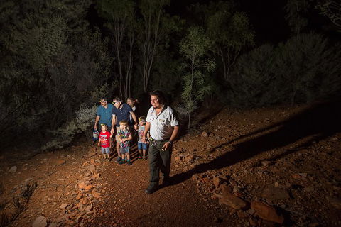 Alice Springs Desert Park Nocturnal Tour - Rental Cars 0