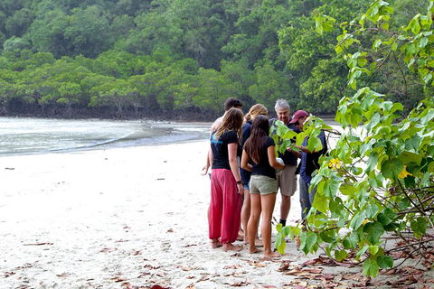 Full Day Daintree Rainforest And Mossman Gorge Tour - Rental Cars 2
