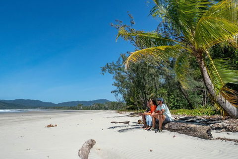 Full Day Daintree Rainforest And Mossman Gorge Tour - Rental Cars 4