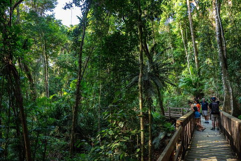 Full Day Daintree Rainforest And Mossman Gorge Tour - Rental Cars 5