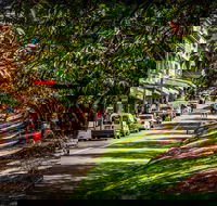 Fully Inclusive Blue Mountains Private Tour inc Scenic World  Featherdale entry - Rental Cars