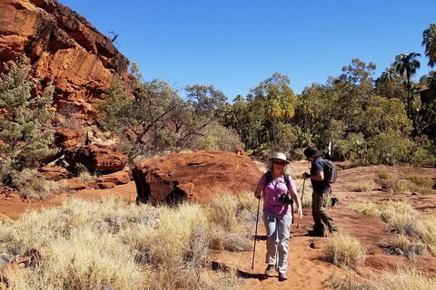 Palm Valley And Hermannsburg 1 Day 4WD Tour - Rental Cars 1