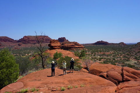 Palm Valley And Hermannsburg 1 Day 4WD Tour - Rental Cars 2