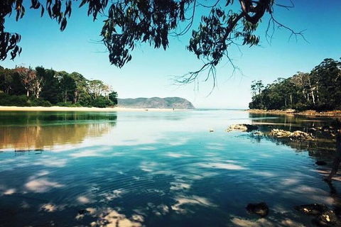Full-Day Guided Bruny Island Tour From Hobart - Rental Cars 1