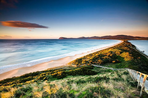 Full-Day Guided Bruny Island Tour From Hobart - Rental Cars 2