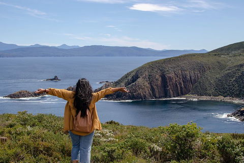 Full-Day Guided Bruny Island Tour From Hobart - Rental Cars 3