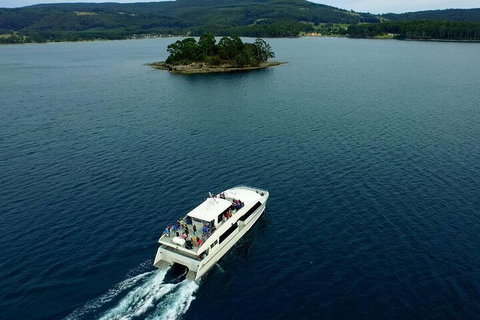 Port Arthur Express Shuttle - Rental Cars 5