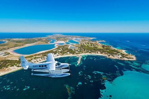 Full Day Tour By Seaplane To Rottnest Island Small Group Trip - Rental Cars 1