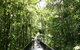 Daintree Dreaming Traditional Aboriginal Fishing From Cairns Or Port Douglas - thumb 3