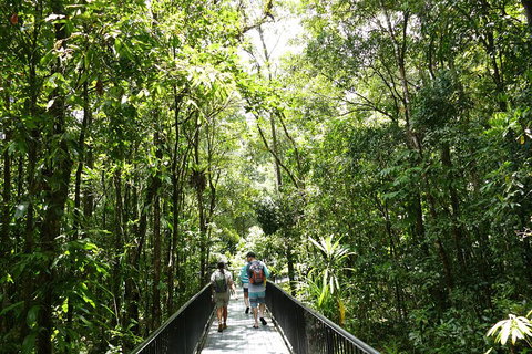 Daintree Dreaming Traditional Aboriginal Fishing From Cairns Or Port Douglas - Rental Cars 3