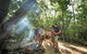 Daintree Dreaming Traditional Aboriginal Fishing From Cairns Or Port Douglas - thumb 5