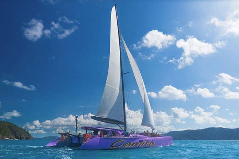 Whitsunday Islands Sailing Adventure - Rental Cars 3