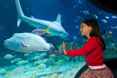 SEA LIFE Melbourne Aquarium Admission Ticket - Rental Cars 1