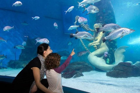 SEA LIFE Melbourne Aquarium Admission Ticket - Rental Cars 4