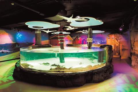 SEA LIFE Melbourne Aquarium Admission Ticket - Rental Cars 5