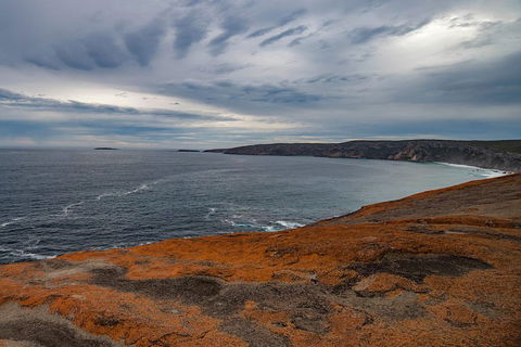 Kangaroo Island Luxury Small Group 'Flinders Chase Focus' Full Day Tour - Rental Cars 0