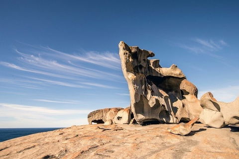Kangaroo Island Luxury Small Group 'Flinders Chase Focus' Full Day Tour - Rental Cars 1
