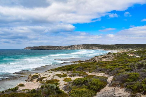 Kangaroo Island Luxury Small Group 'East End Explorer' Full Day Tour - Rental Cars 0