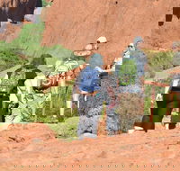 Afternoon Kata Tjuta Small Group Tour - Rental Cars