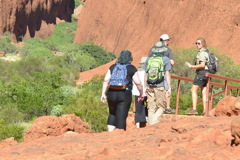Afternoon Kata Tjuta Small Group Tour - Rental Cars 0