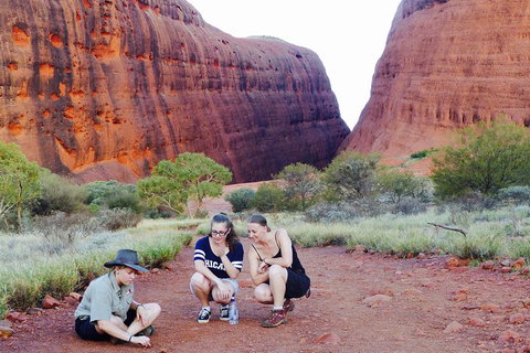 Afternoon Kata Tjuta Small Group Tour - Rental Cars 2