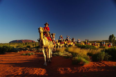 Uluru Small-Group Tour By Camel At Sunrise Or Sunset - Rental Cars 1