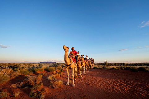 Uluru Small-Group Tour By Camel At Sunrise Or Sunset - Rental Cars 3