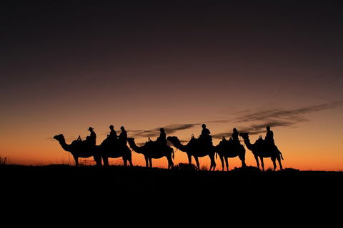 Uluru Small-Group Tour By Camel At Sunrise Or Sunset - Rental Cars 4