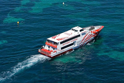 Discover Rottnest With Ferry & Bus Tour From Perth Or Fremantle - Rental Cars 3