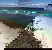 Experience Rottnest with Ferry  Bike Hire from Perth or Fremantle - Rental Cars