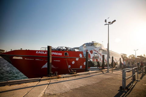Rottnest Island Round-Trip Ferry From Perth Or Fremantle - Rental Cars 2