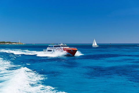Rottnest Island Round-Trip Ferry From Perth Or Fremantle - Rental Cars 4
