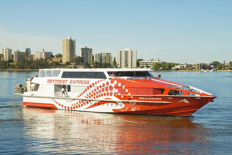 Rottnest Island Round-Trip Ferry From Perth Or Fremantle - Rental Cars 5