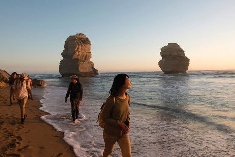 Full-Day Great Ocean Road And 12 Apostles Sunset Tour From Melbourne - Rental Cars 4