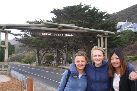 Small-Group Great Ocean Road Classic Day Tour From Melbourne - Rental Cars 4