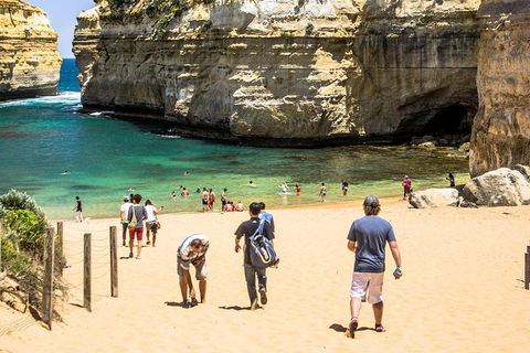 Small-Group Great Ocean Road Classic Day Tour From Melbourne - Rental Cars 5