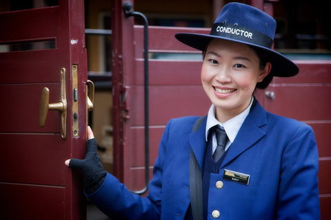 Puffing Billy, Moonlit Sanctuary & Penguins Day Tour - Rental Cars 1