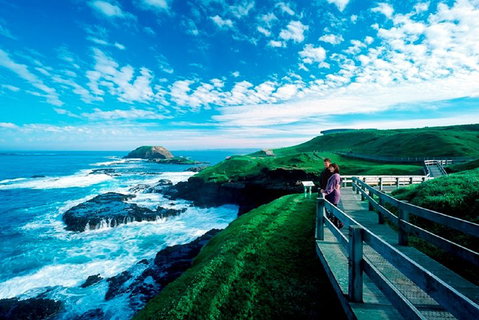Puffing Billy, Moonlit Sanctuary & Penguins Day Tour - Rental Cars 2