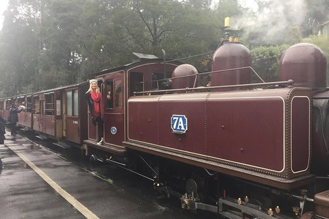 Puffing Billy, Moonlit Sanctuary & Penguins Day Tour - Rental Cars 4