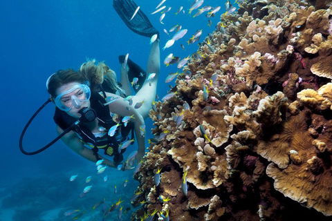 Great Barrier Reef Diving And Snorkeling Cruise From Cairns - Rental Cars 1