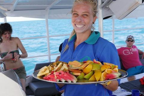 Ocean Free Green Island & Great Barrier Reef Snorkel Cruise, Cairns 25 Guests - Rental Cars 1