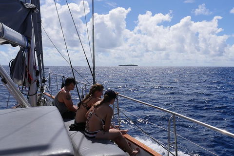 Ocean Free Green Island & Great Barrier Reef Snorkel Cruise, Cairns 25 Guests - Rental Cars 4
