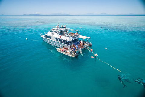 Ocean Freedom Great Barrier Reef Personal Luxury Snorkel & Dive Cruise, Cairns - Rental Cars 0